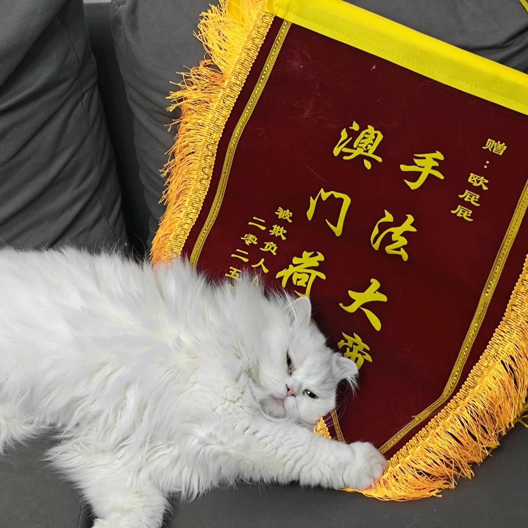欧屁屁爱拆盒