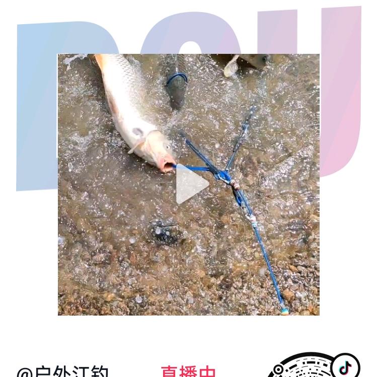 户外江钓钓鱼郎钓组