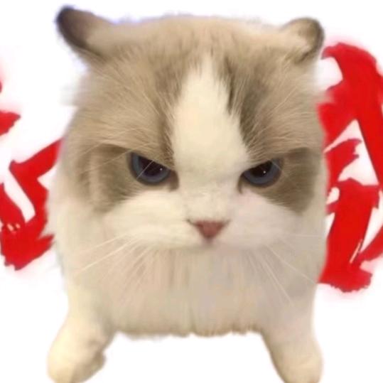 权