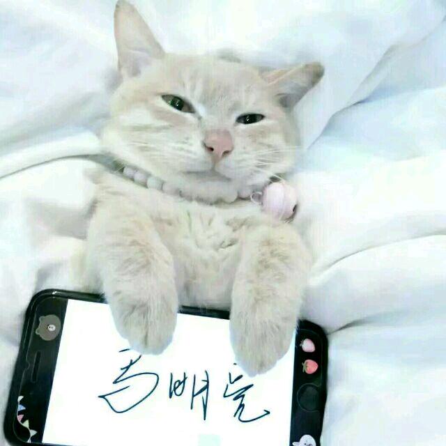 环球骑行🇨🇳