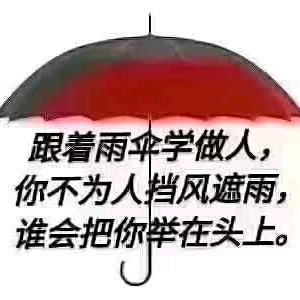 太阳遇到雨