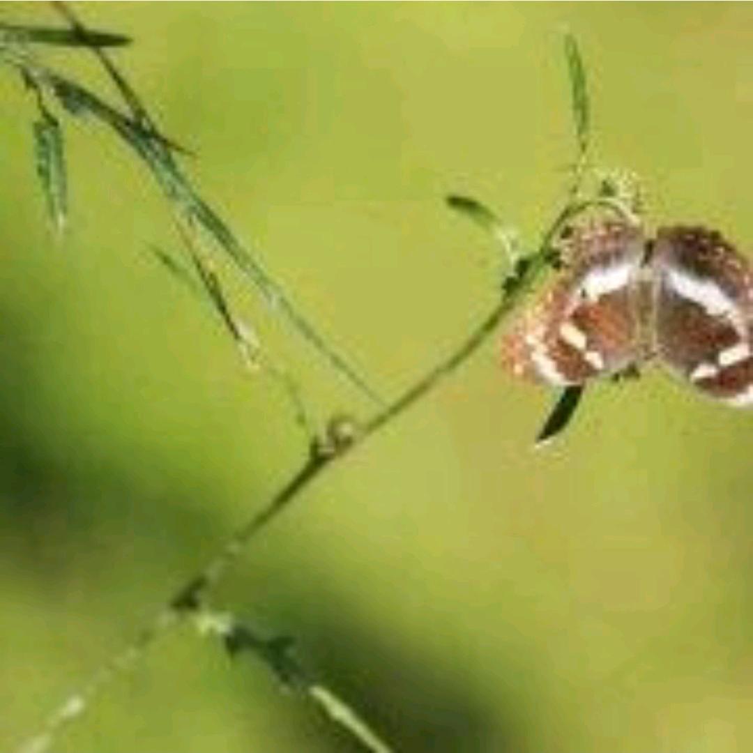 紫气东来