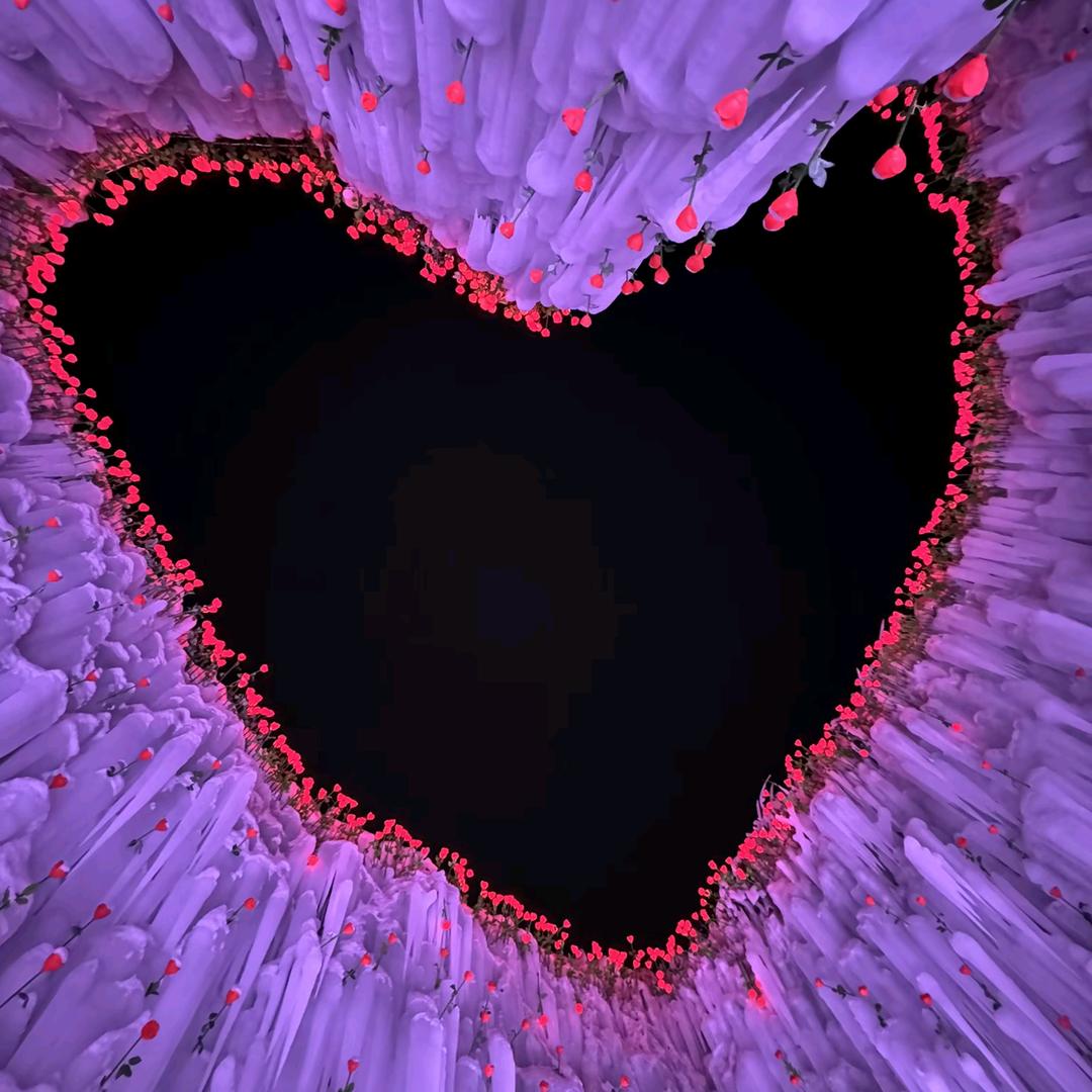 🍂((🍁陆🍁))🍂