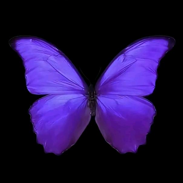 🍑ᵀˣ 桃之夭夭ᶻᶻ🦄 ～