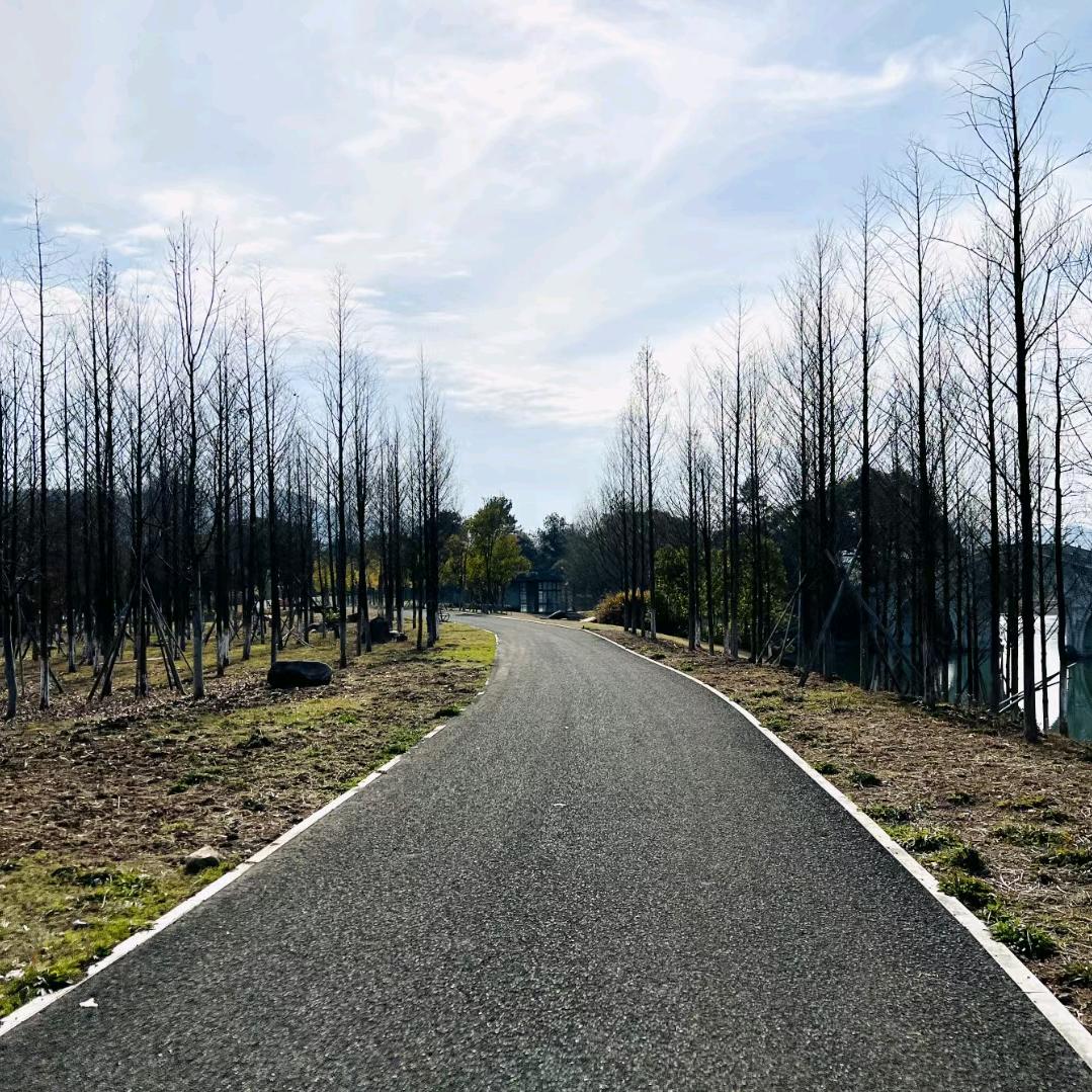 驰诚模具🇨🇳