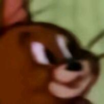 老猫gjngvyb