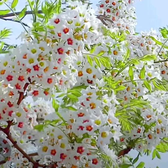 一切随意_249053788