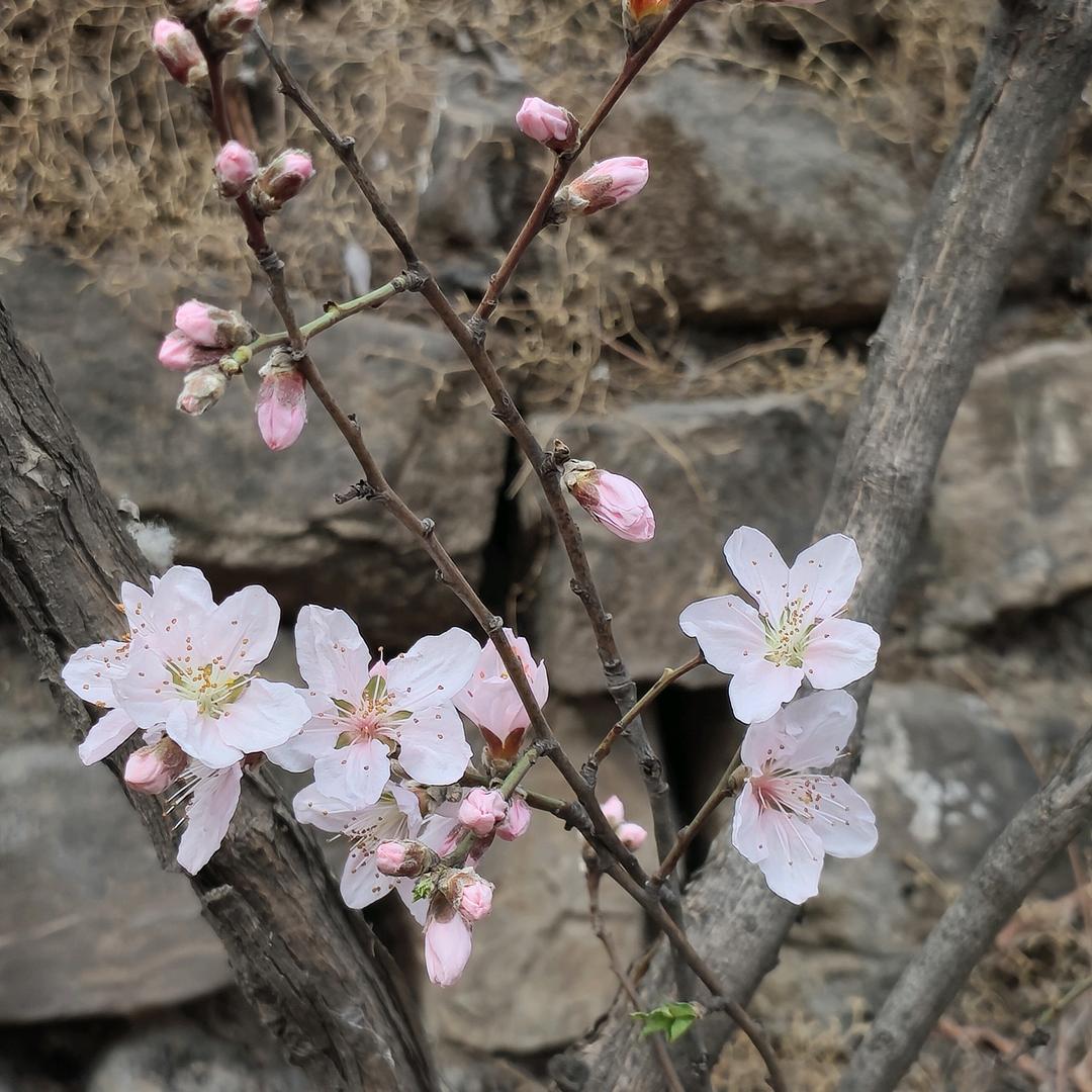 天高云淡