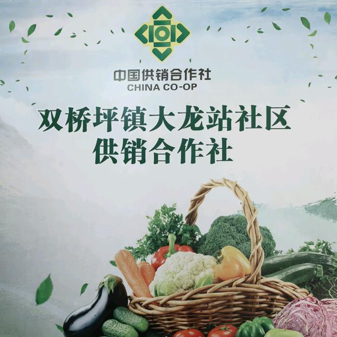 大龙站供销社宣传