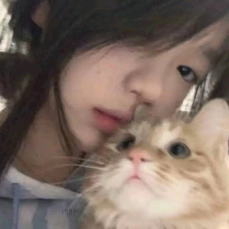 要睡觉啦