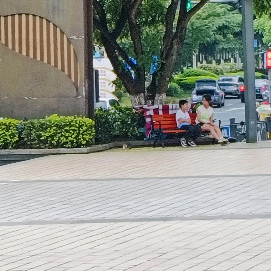 白茶清欢