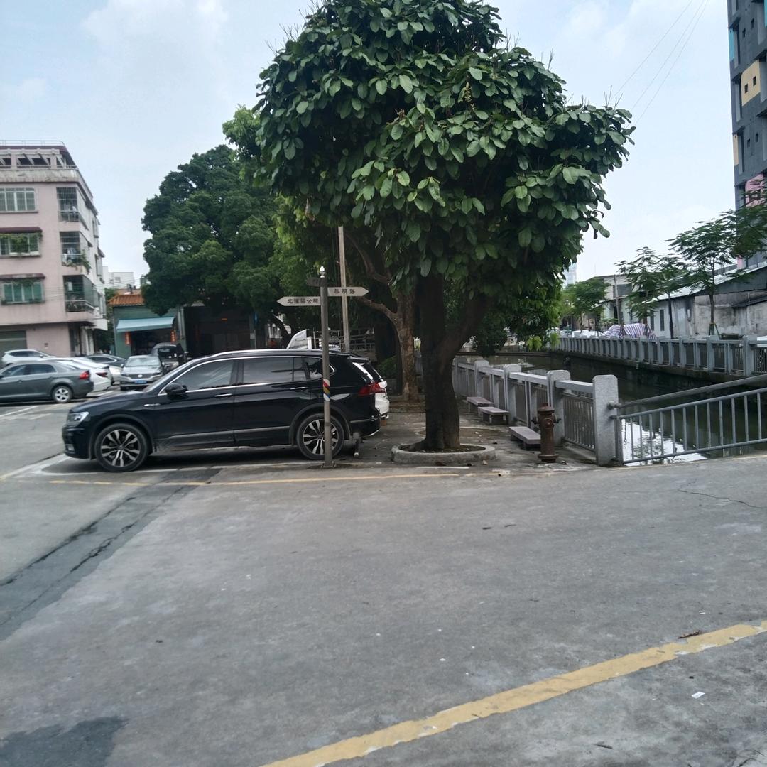 爱的梦想