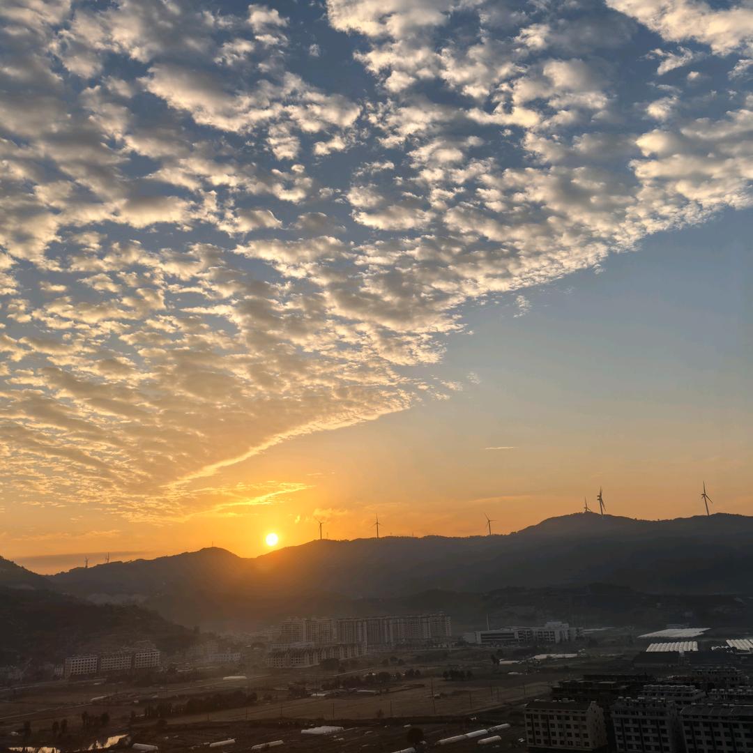 大麦屿焦点名剪