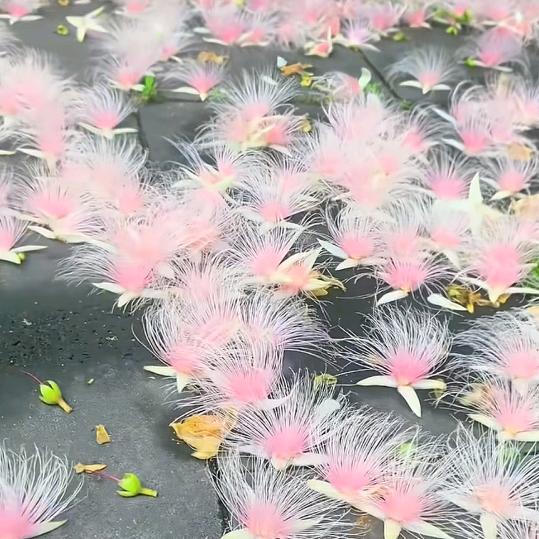爱你哟