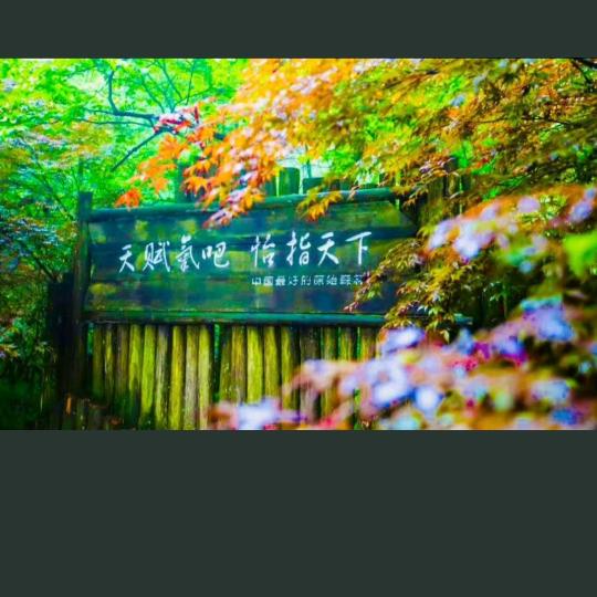 笑看花开花落