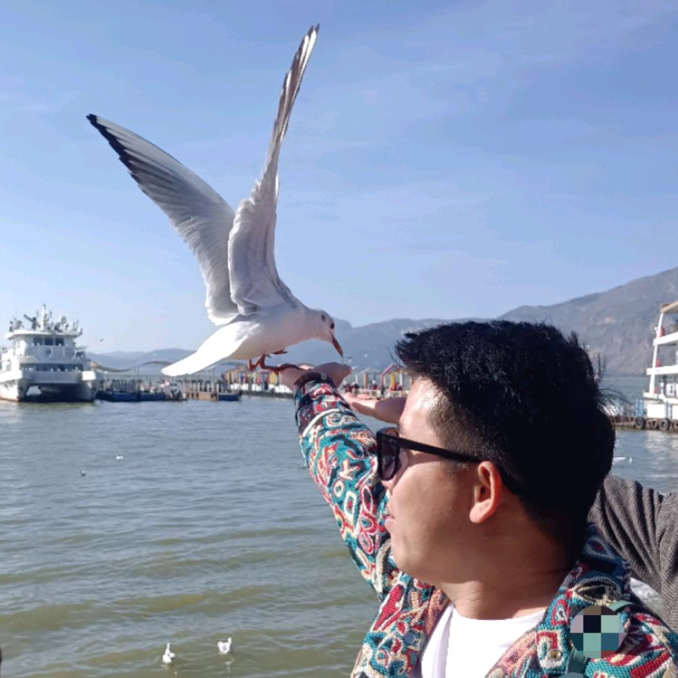 黃佰亿💯（浪子）🦅