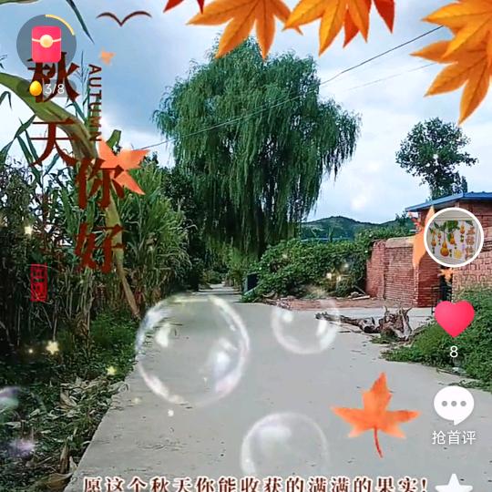 💮🔆一帆风顺🔆💮