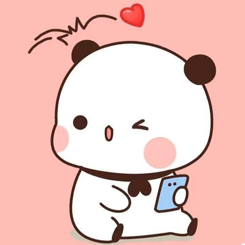 ✨安