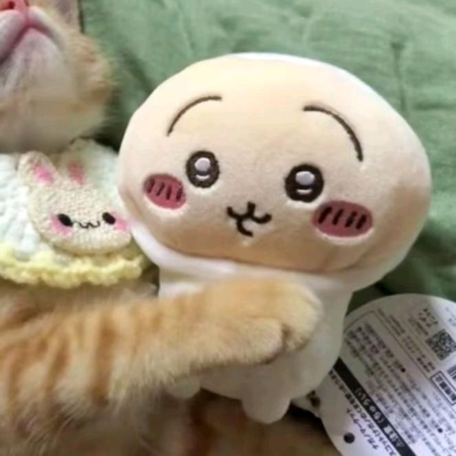 猪蹄尖