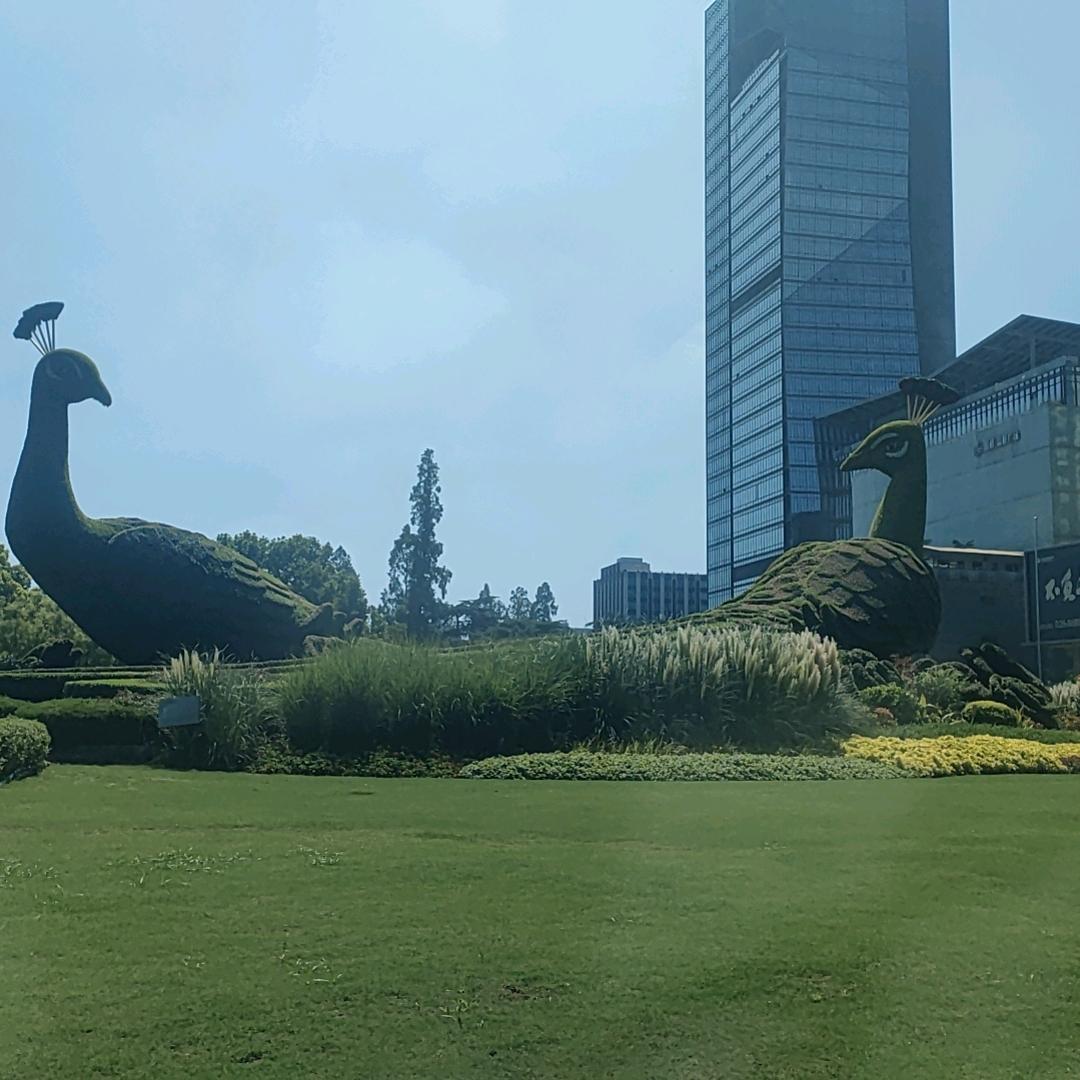 🍏平平安安🌾🎋