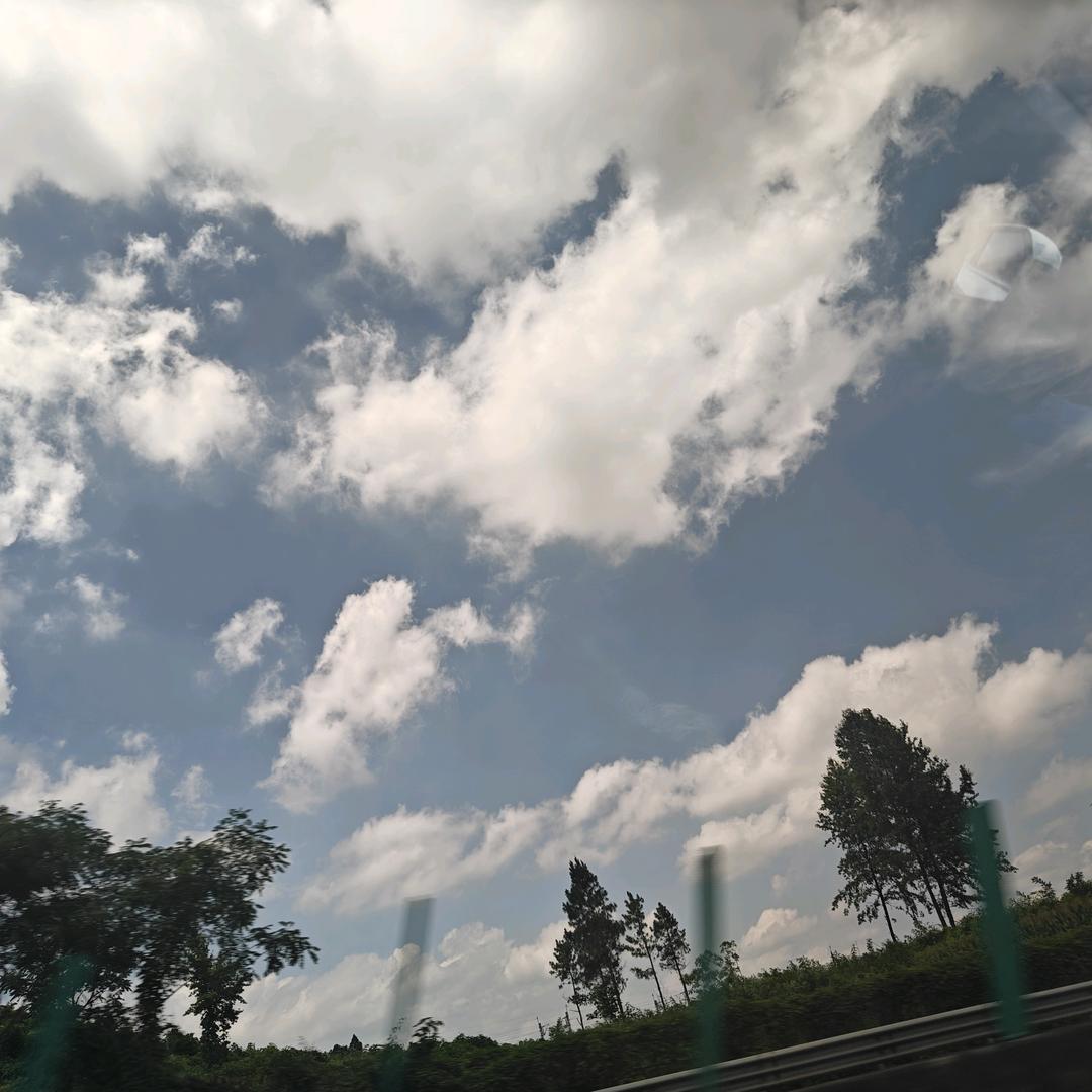 小龙三角洲行动