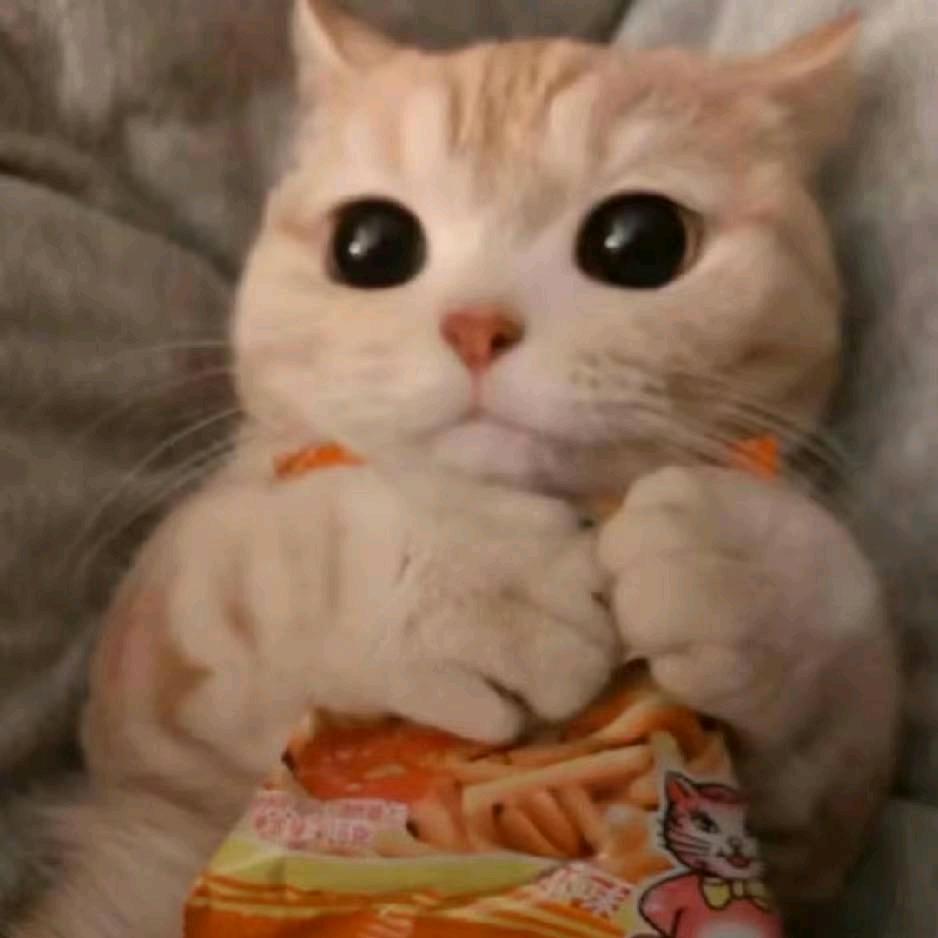 刀