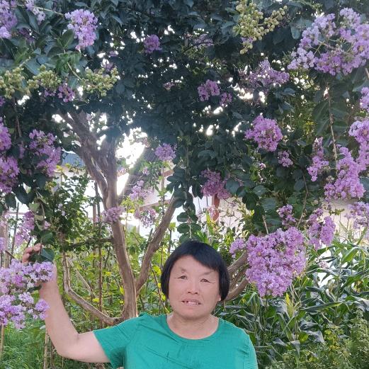 不吃榴莲披萨