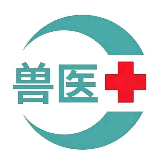 东鸿