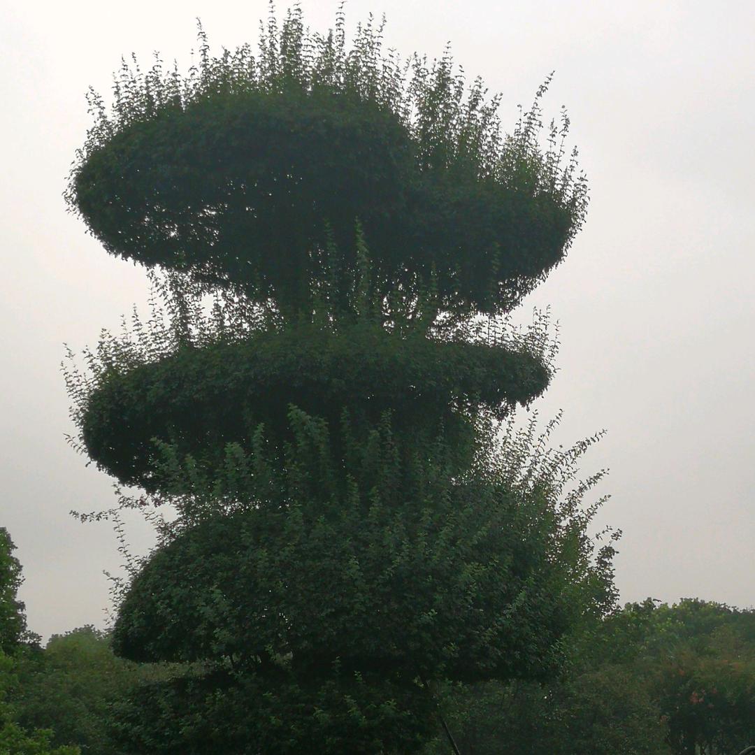 踏浪东来