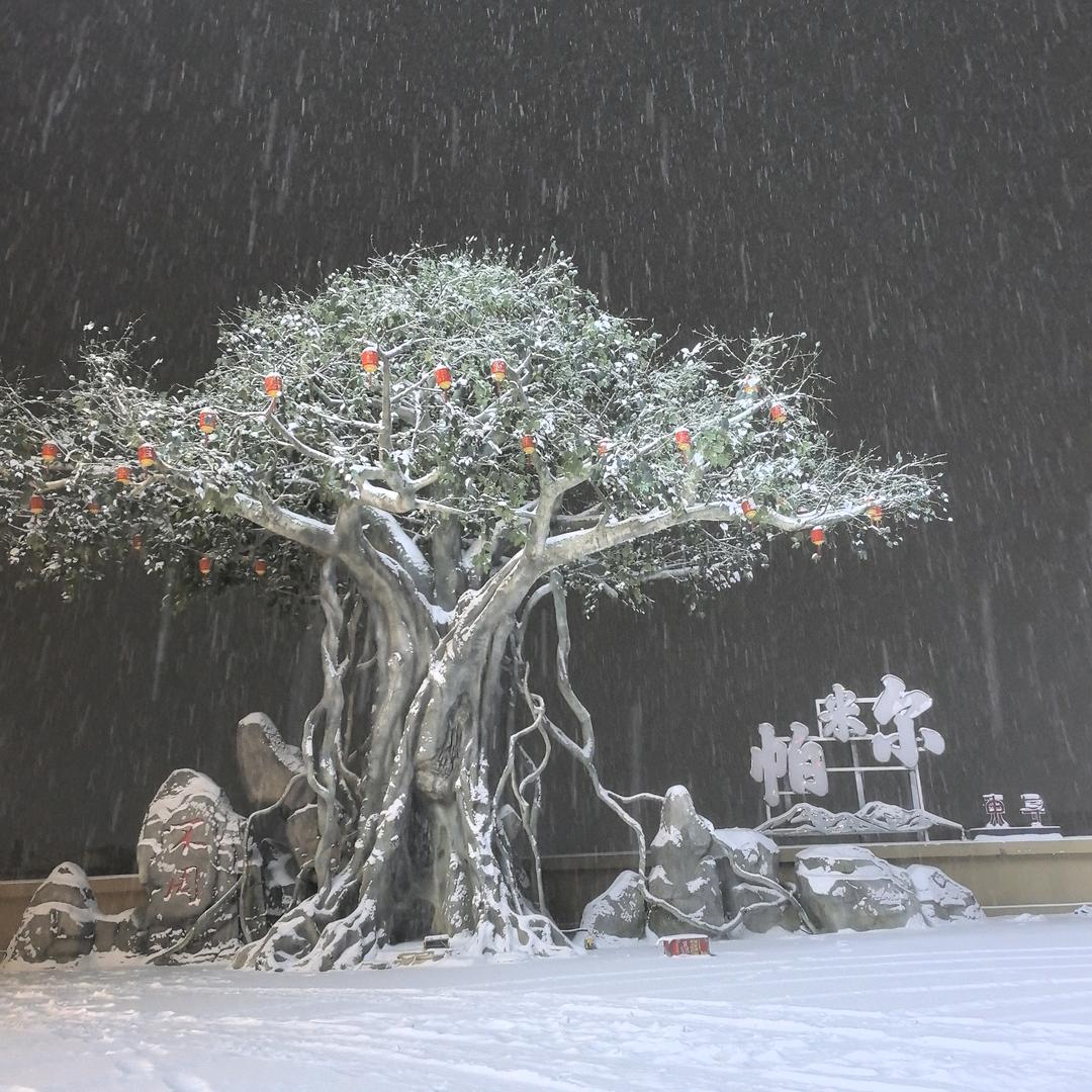 恋雪