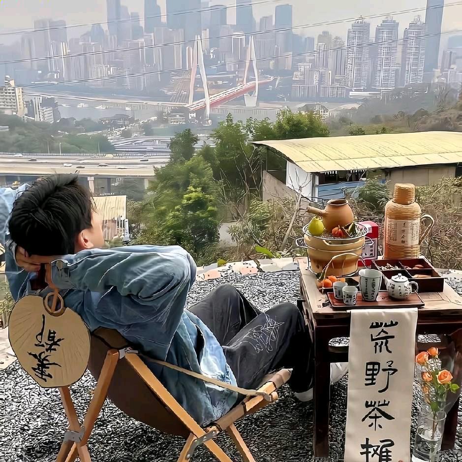 秦杨