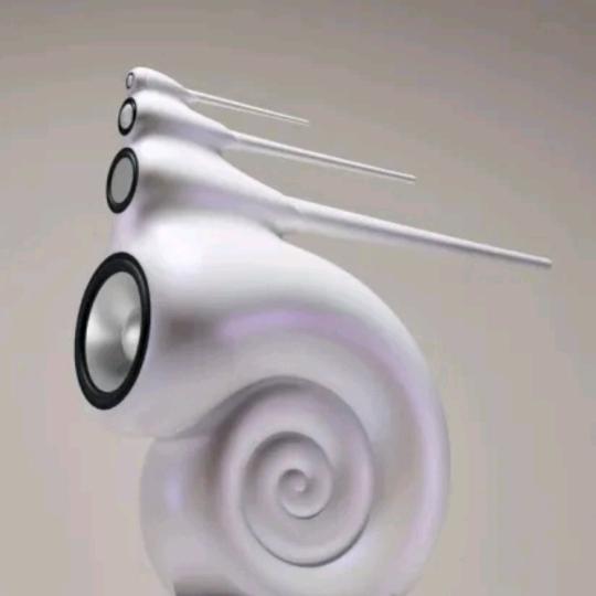 枫叶