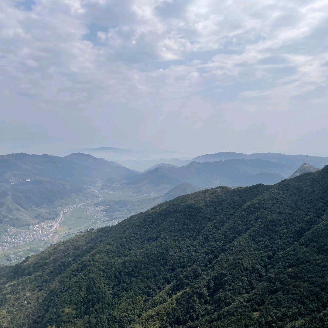 一条小咸鱼