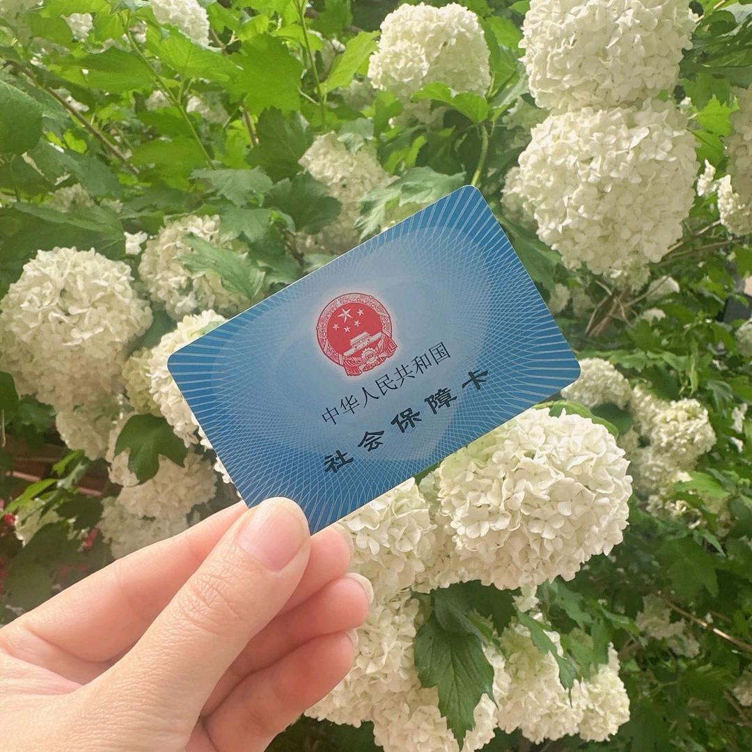 新疆老赵聊社保