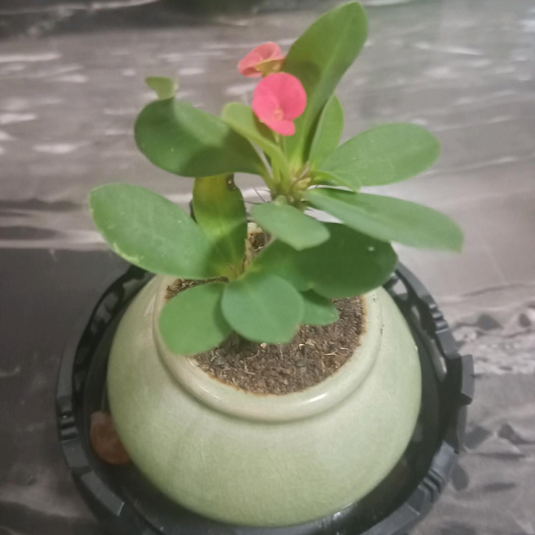 末世