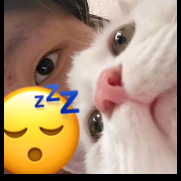 孟津新房，二手房宜家房产销售~豆娟