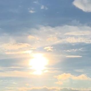 严选