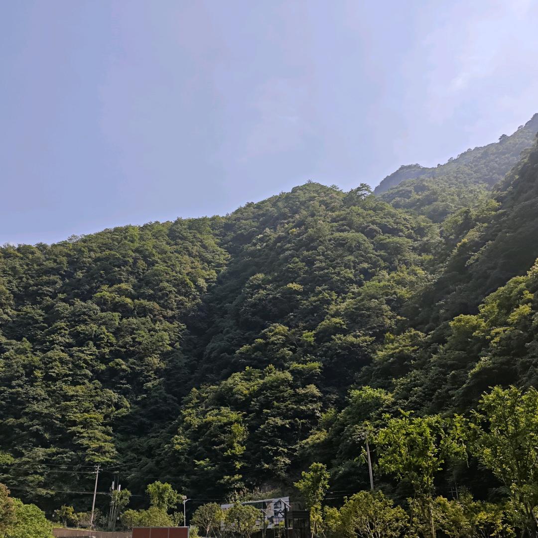 大杯手冲奶茶