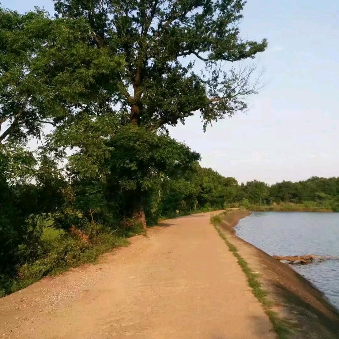 波涛汹涌
