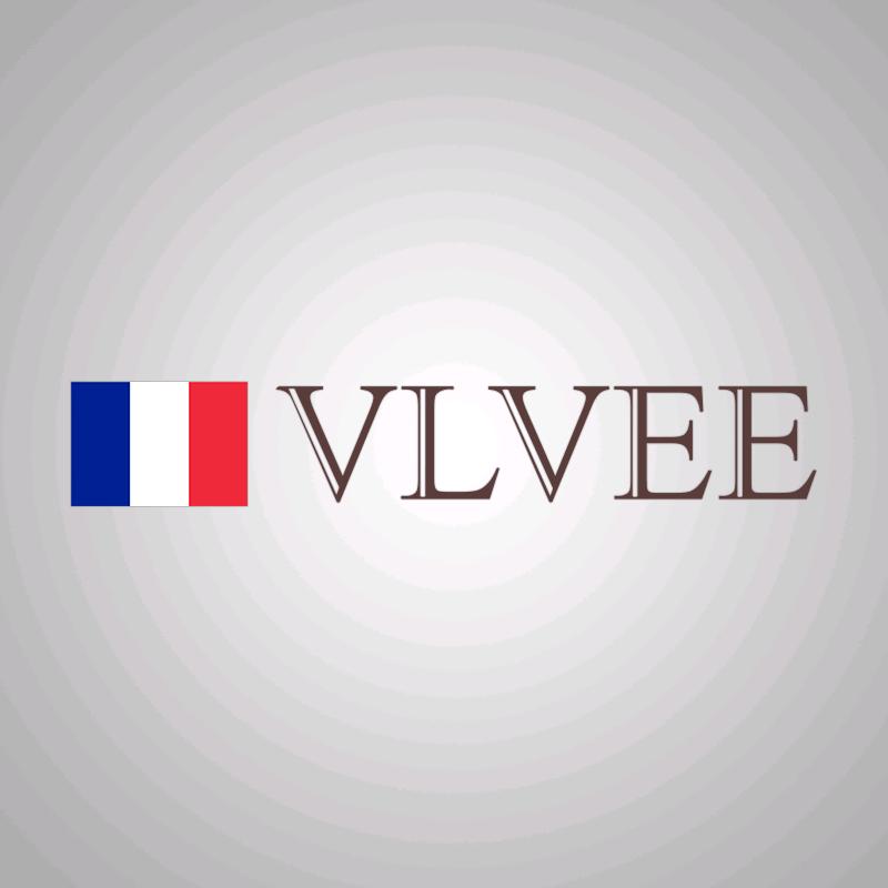VLVEE美容仪旗舰店