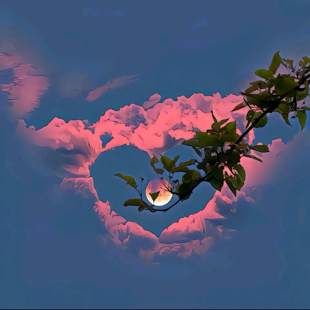 睡不着的泡泡糖：💤
