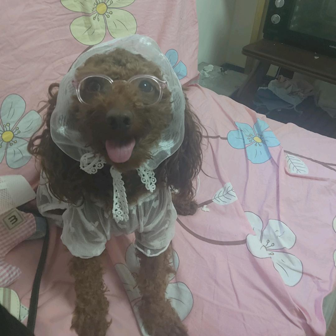 新疆阿勒泰哈萨克族古丽