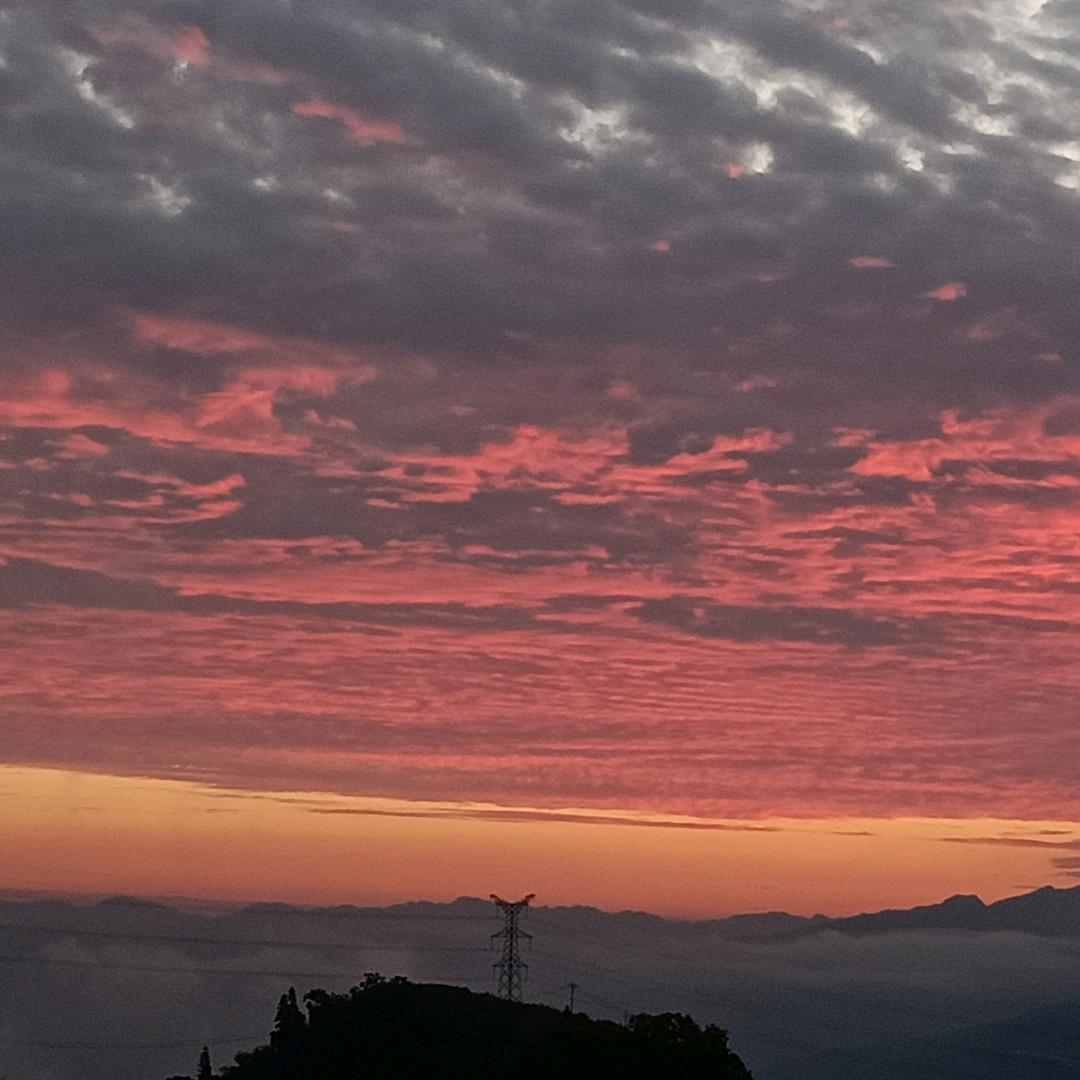 麋鹿，，