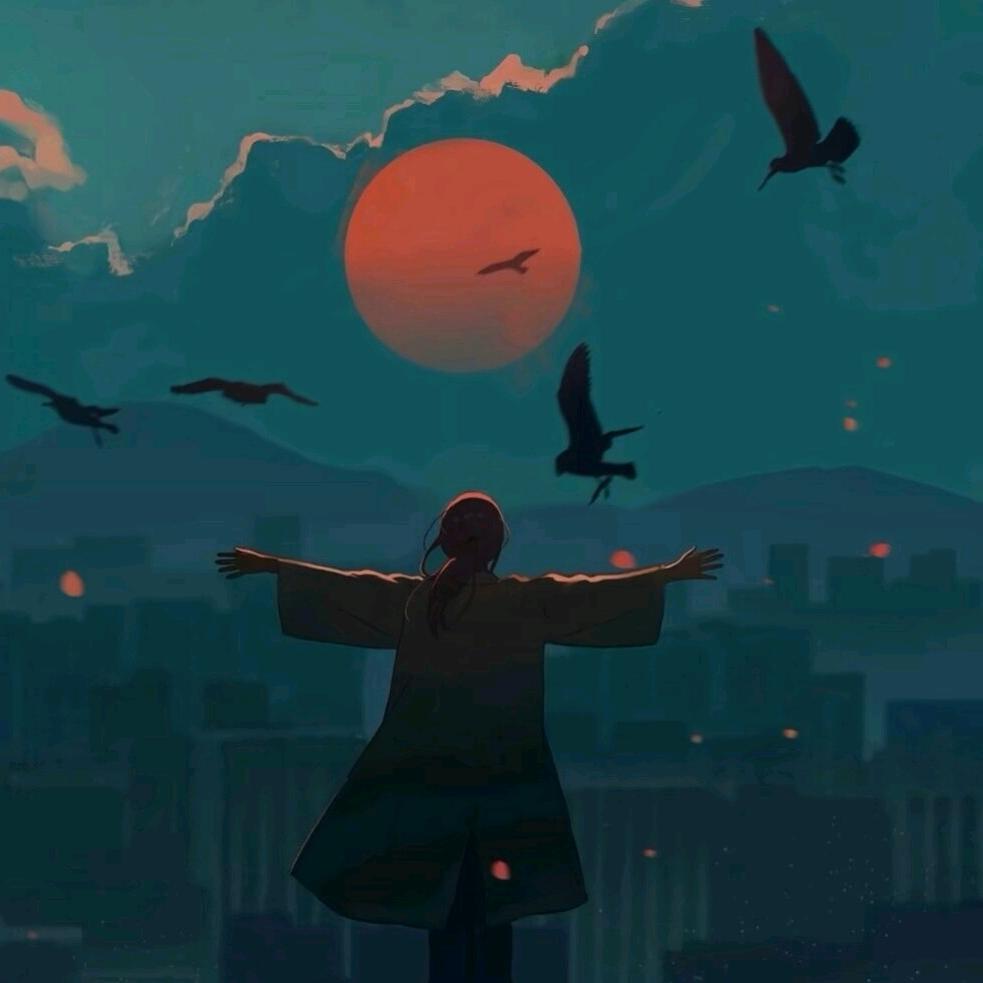 今晚去看星星吧