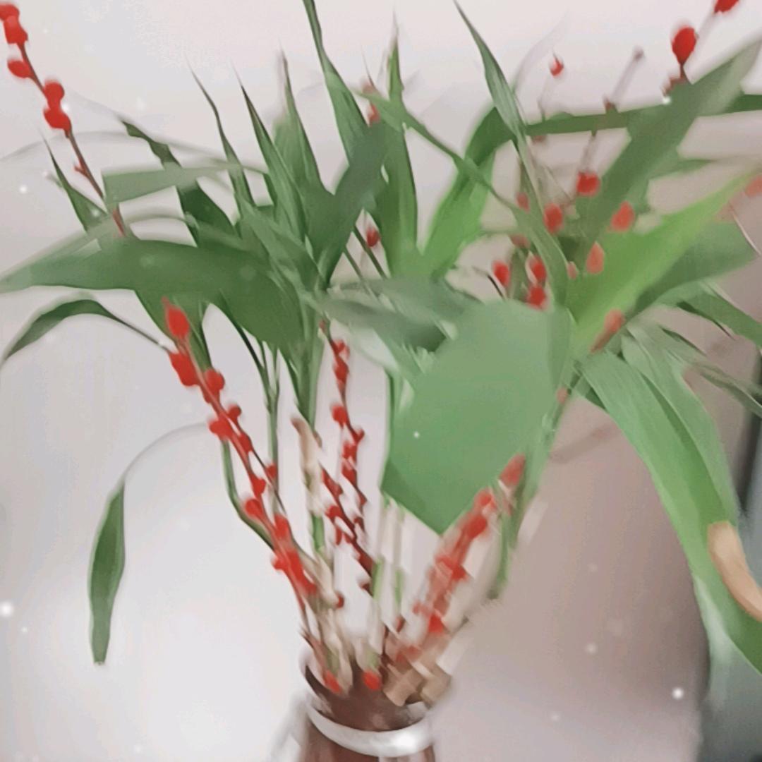 幸福一家人