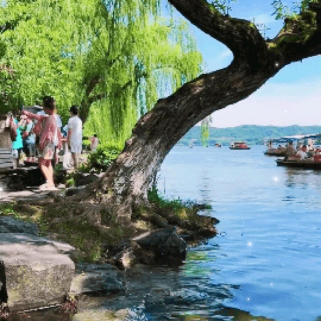 快快乐乐过好每一天。