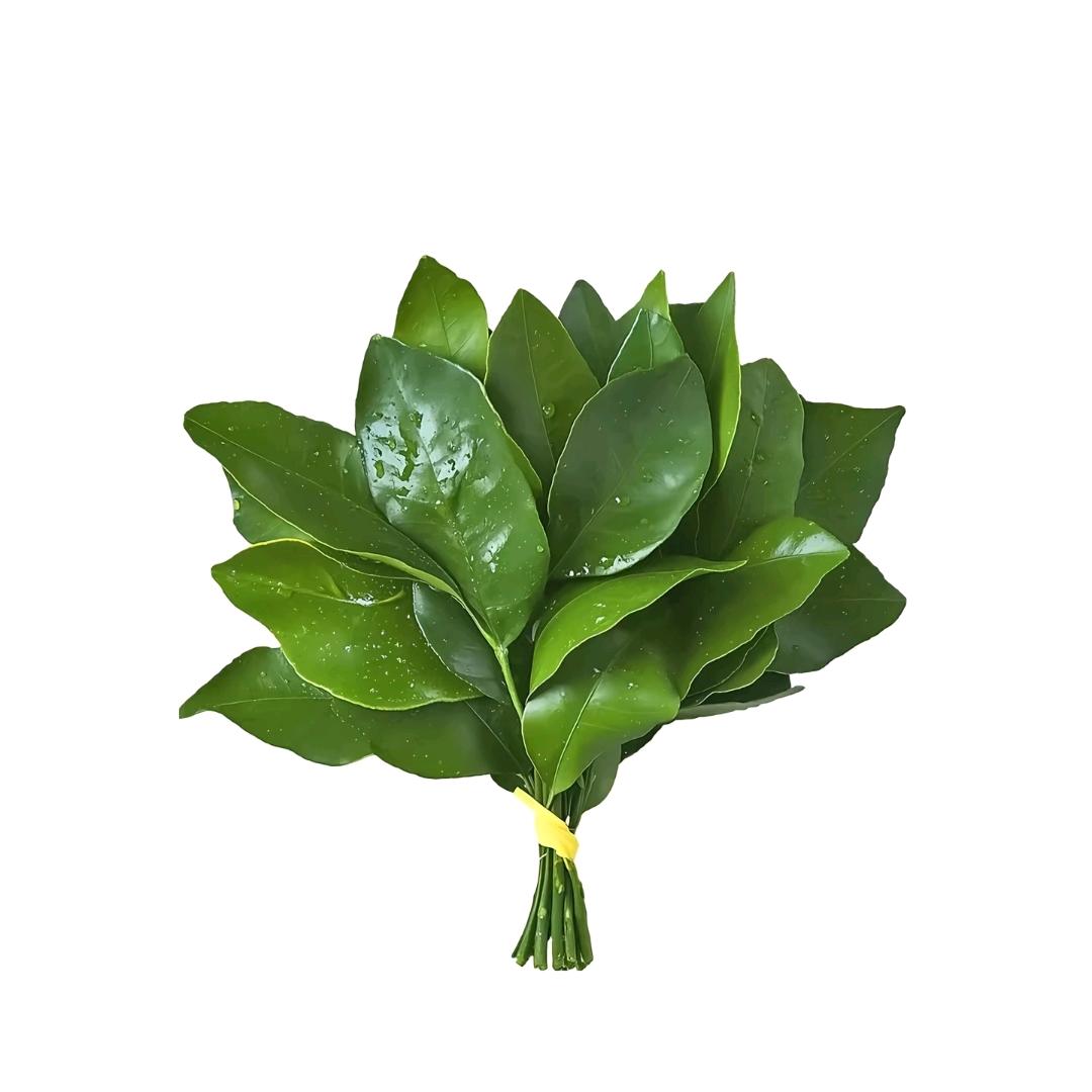 行李箱回家