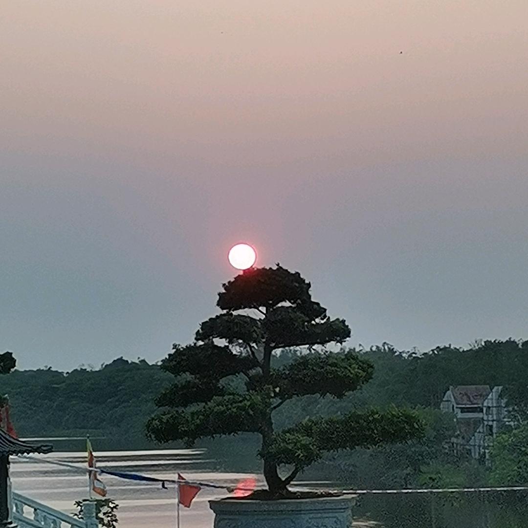 真如觉了头像