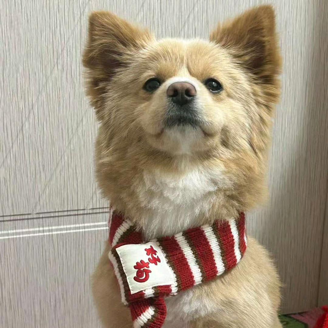 绿厂上班的阿栋