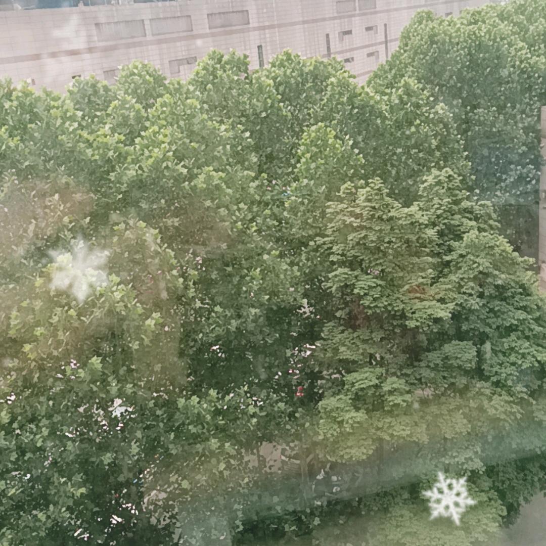 底汇莱（广州）石油化工有限公司8号直播号